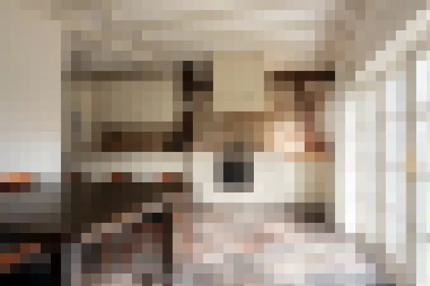 Exmorrazijl 8 Exmorra thumbnail 26