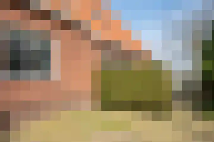 Exmorrazijl 8 Exmorra thumbnail 26