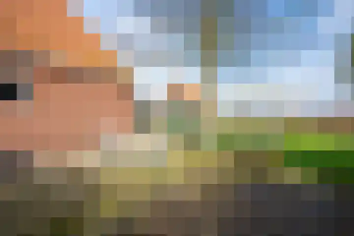 Exmorrazijl 8 Exmorra thumbnail 27