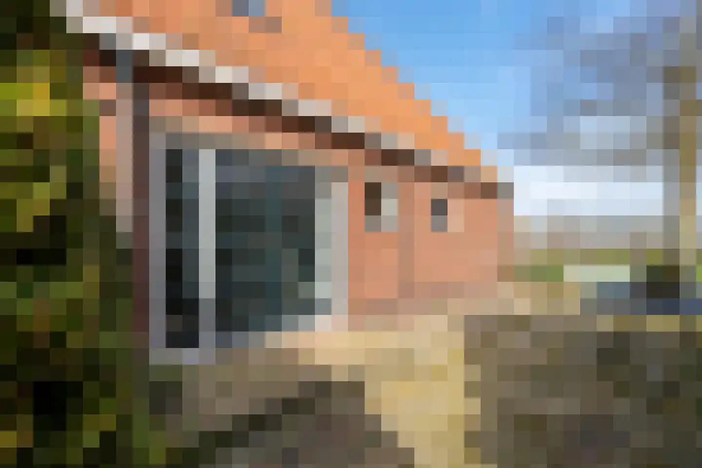 Exmorrazijl 8 Exmorra thumbnail 30