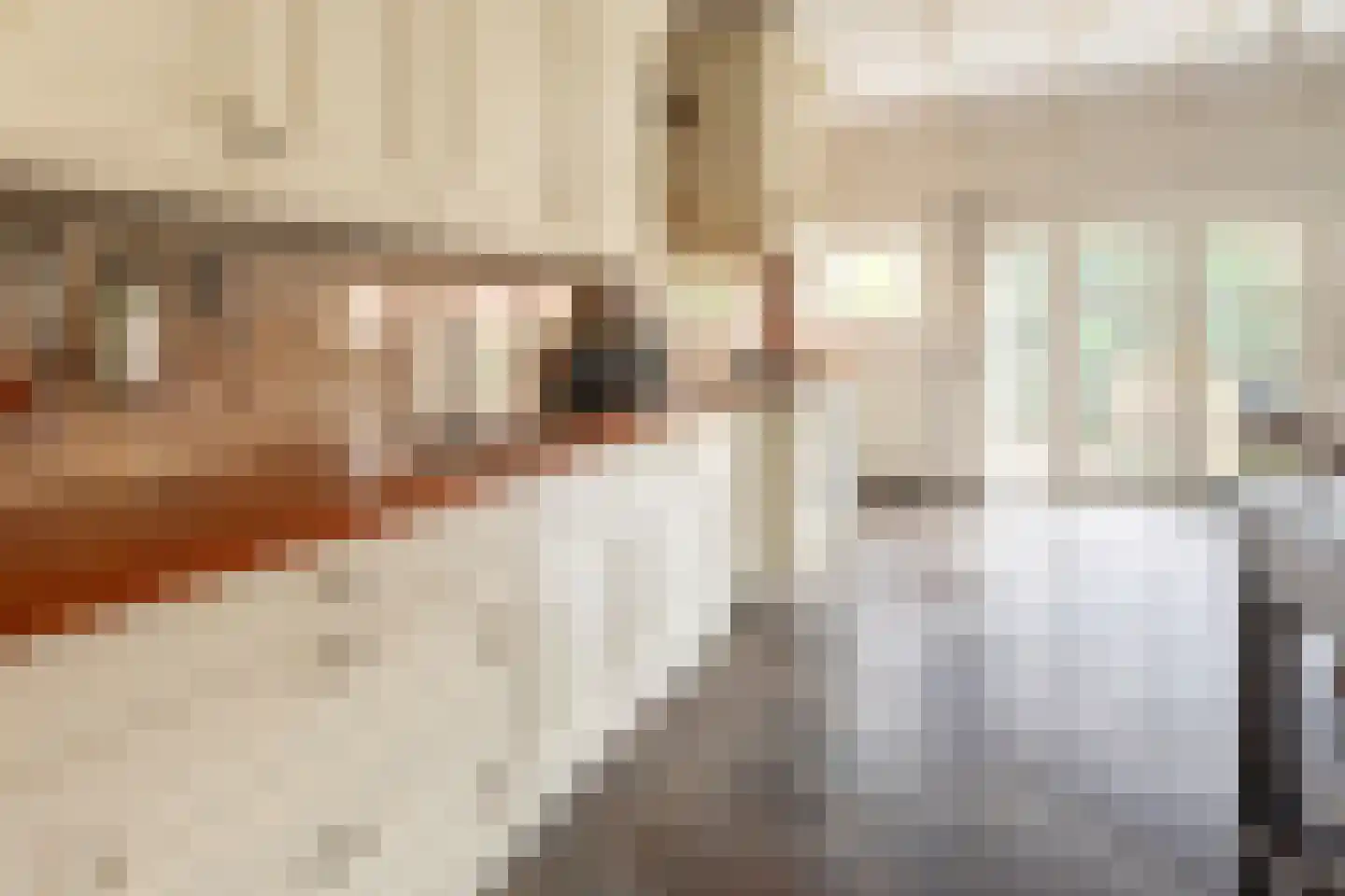 Exmorrazijl 8 Exmorra thumbnail 31