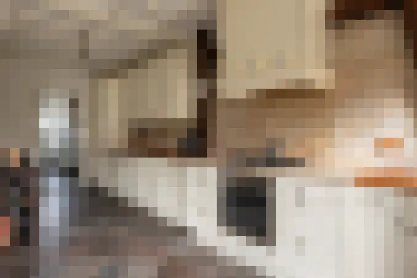 Exmorrazijl 8 Exmorra thumbnail 32