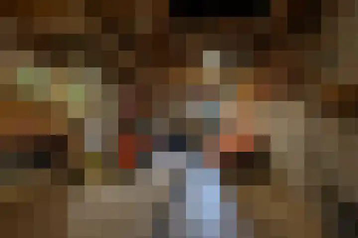 Exmorrazijl 8 Exmorra thumbnail 33