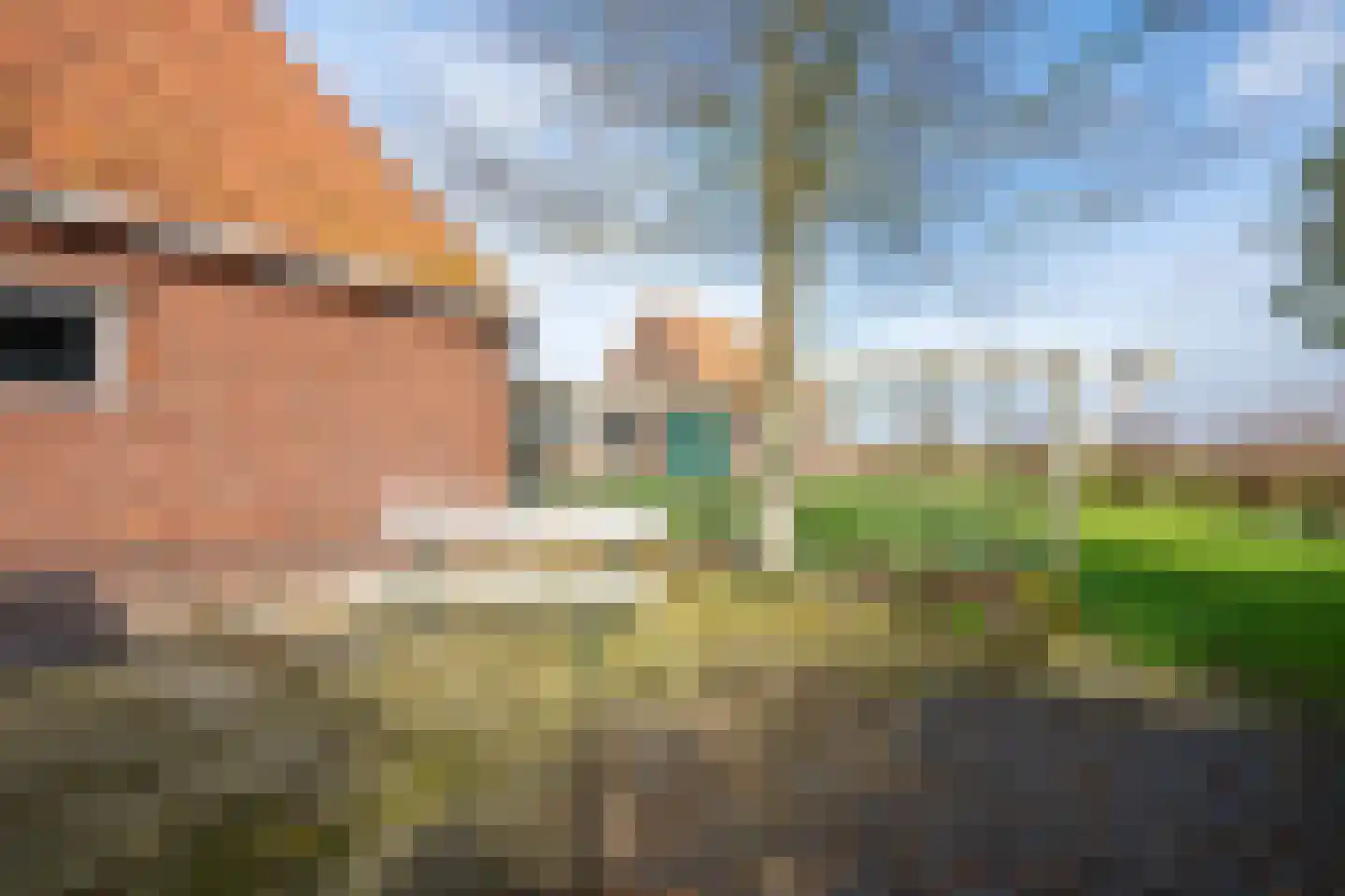Exmorrazijl 8 Exmorra thumbnail 36