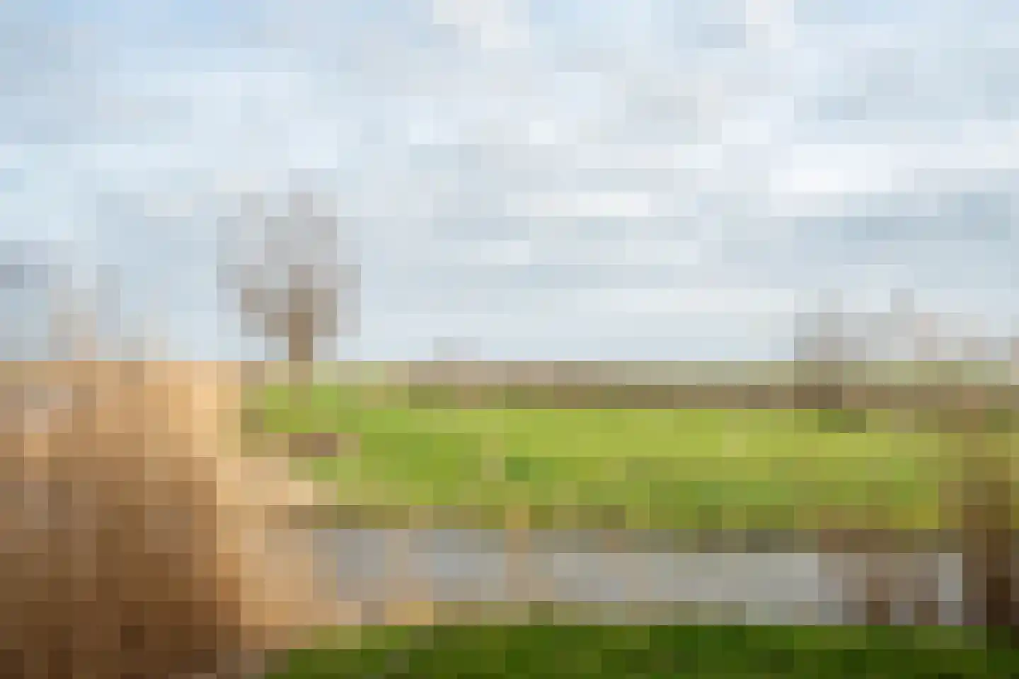 Exmorrazijl 8 Exmorra thumbnail 4