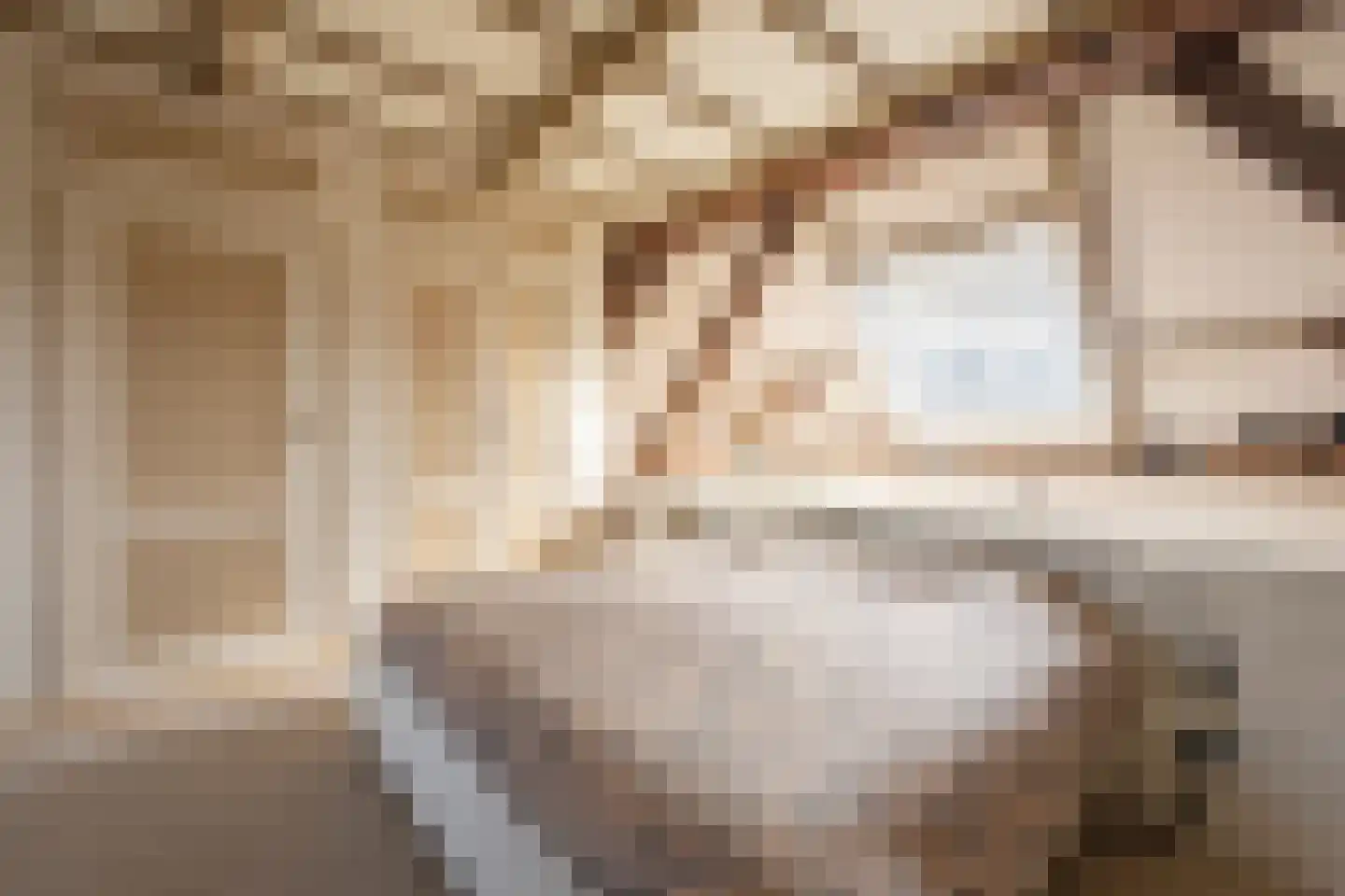 Exmorrazijl 8 Exmorra thumbnail 46