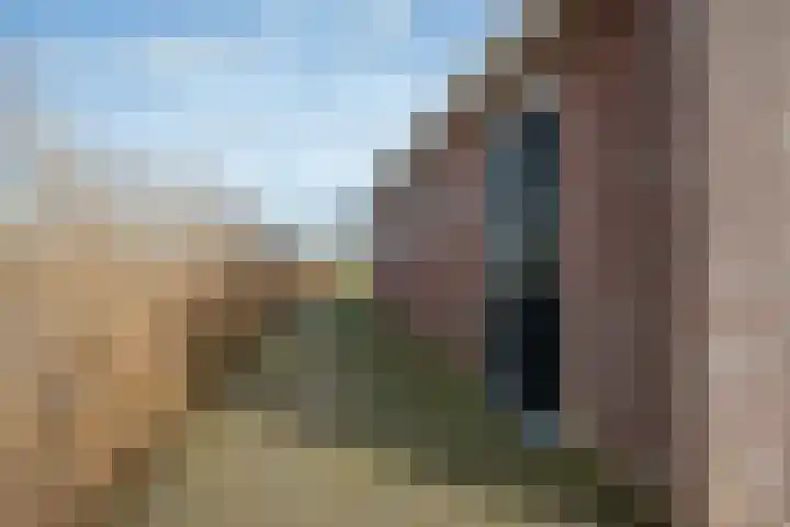 Exmorrazijl 8 Exmorra thumbnail 47
