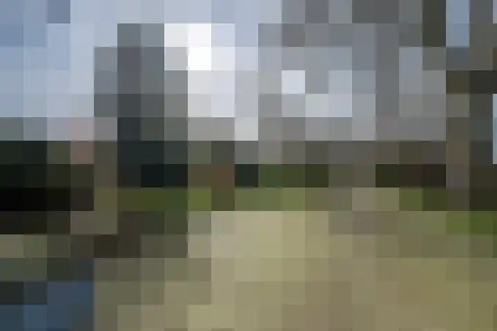Exmorrazijl 8 Exmorra thumbnail 5