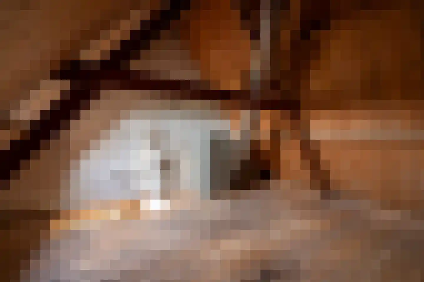 Exmorrazijl 8 Exmorra thumbnail 54