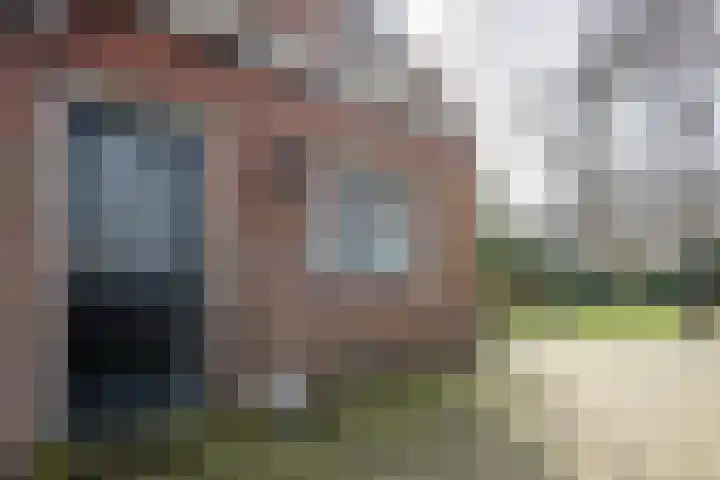 Exmorrazijl 8 Exmorra thumbnail 6