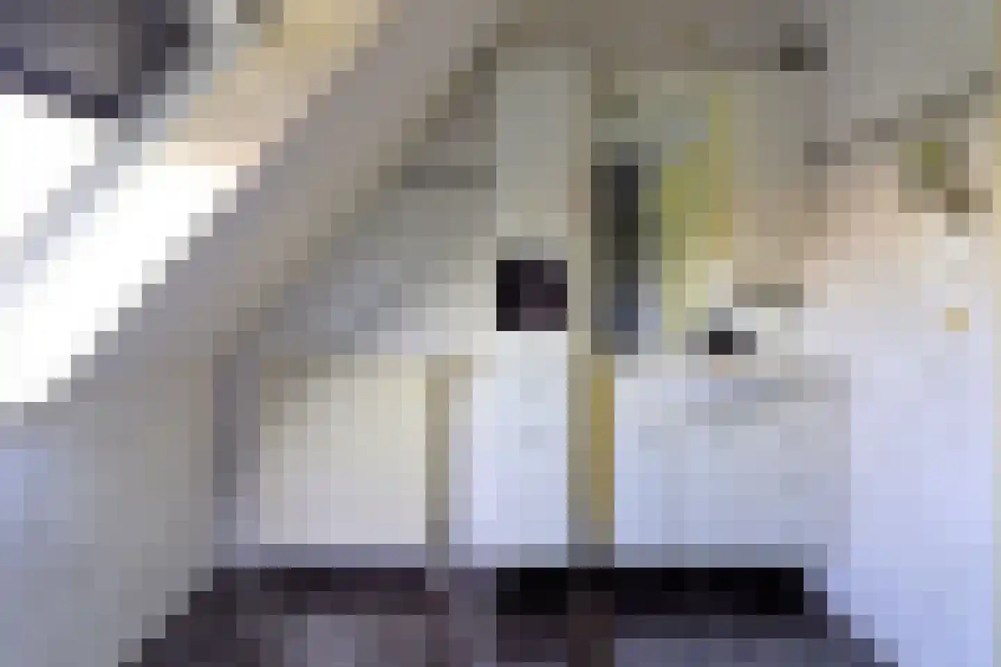 Expansie 26 Marknesse thumbnail 23