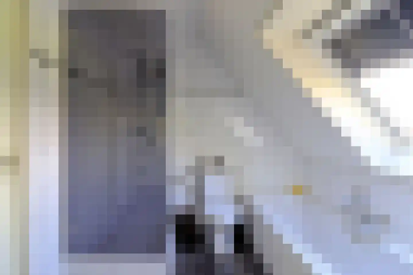 Expansie 26 Marknesse thumbnail 24