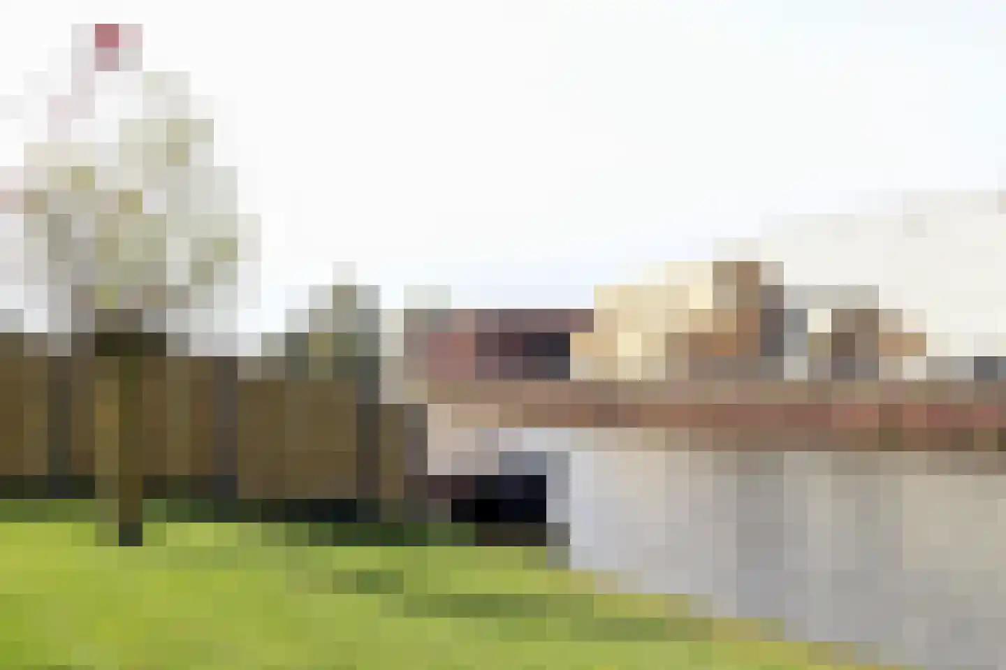 Expansie 26 Marknesse thumbnail 33