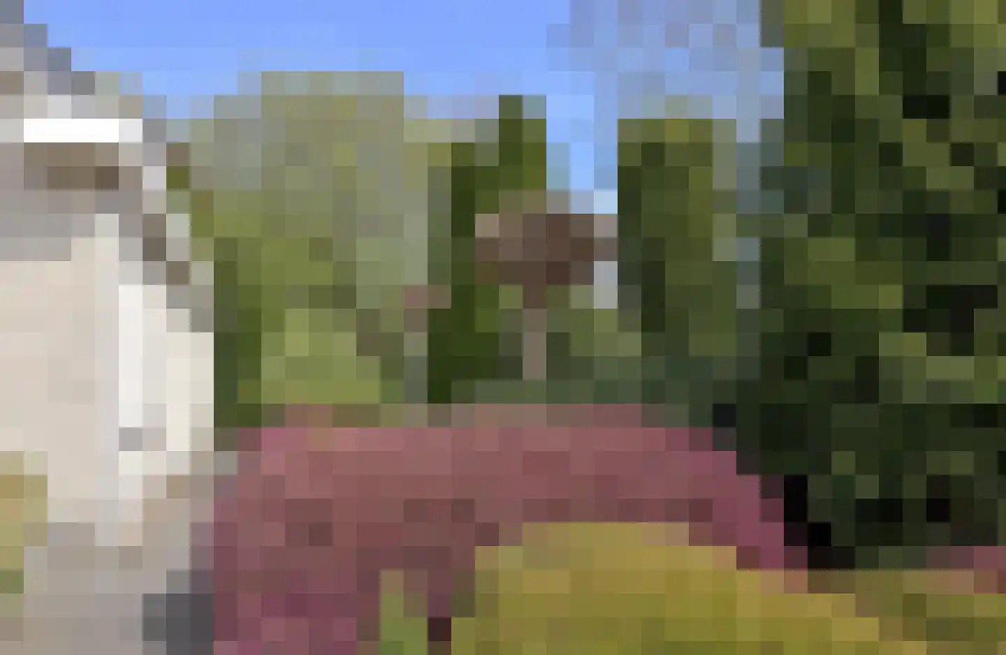 Expansie 26 Marknesse thumbnail 37
