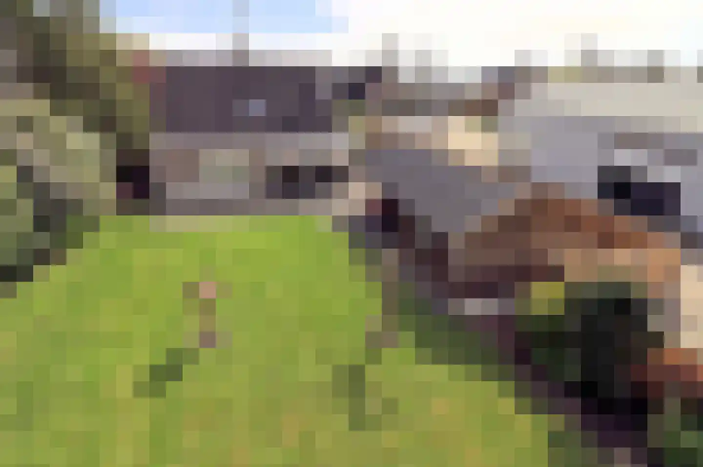 Expansie 26 Marknesse thumbnail 5