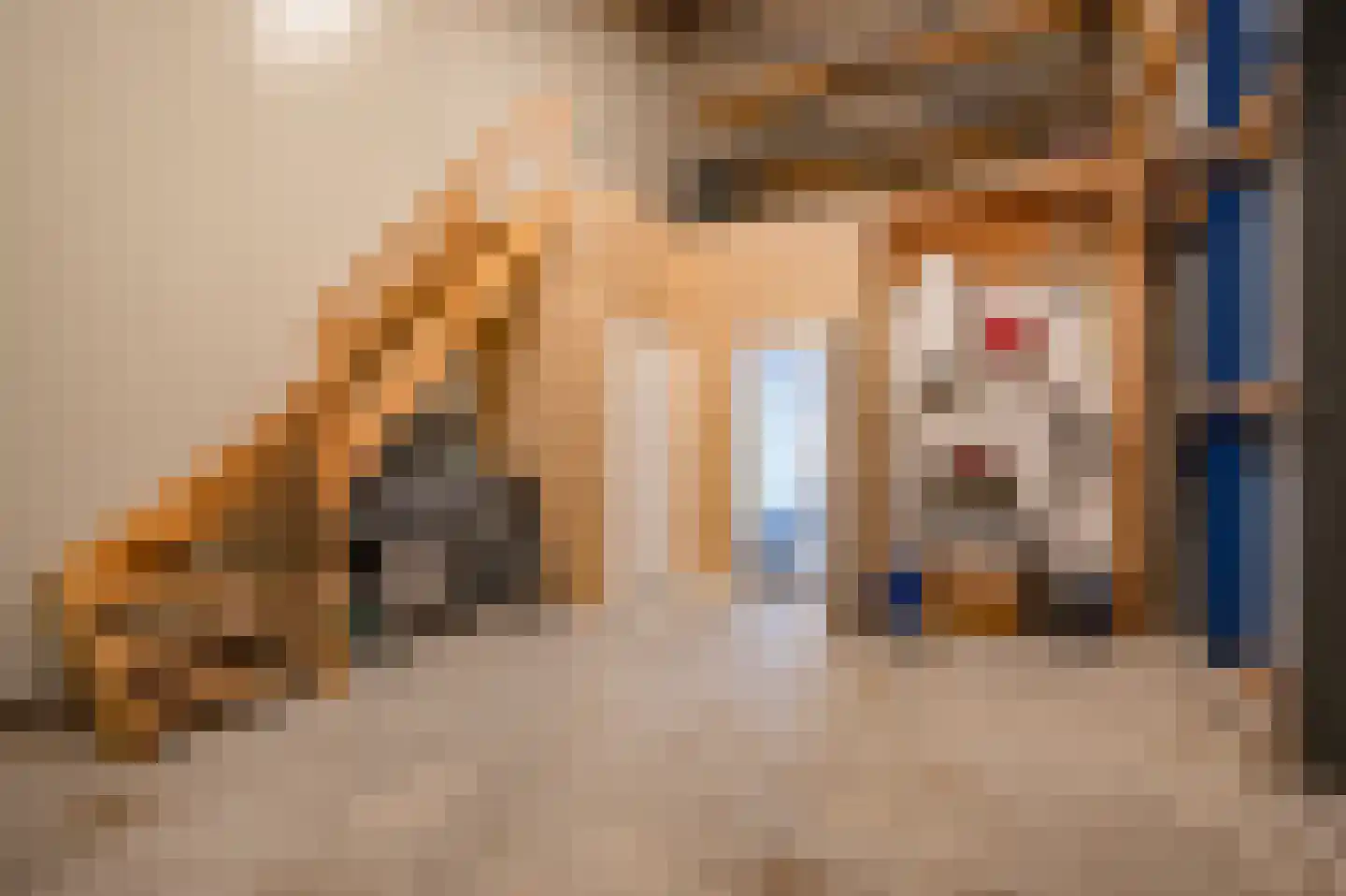 Expansie 43 Marknesse thumbnail 17