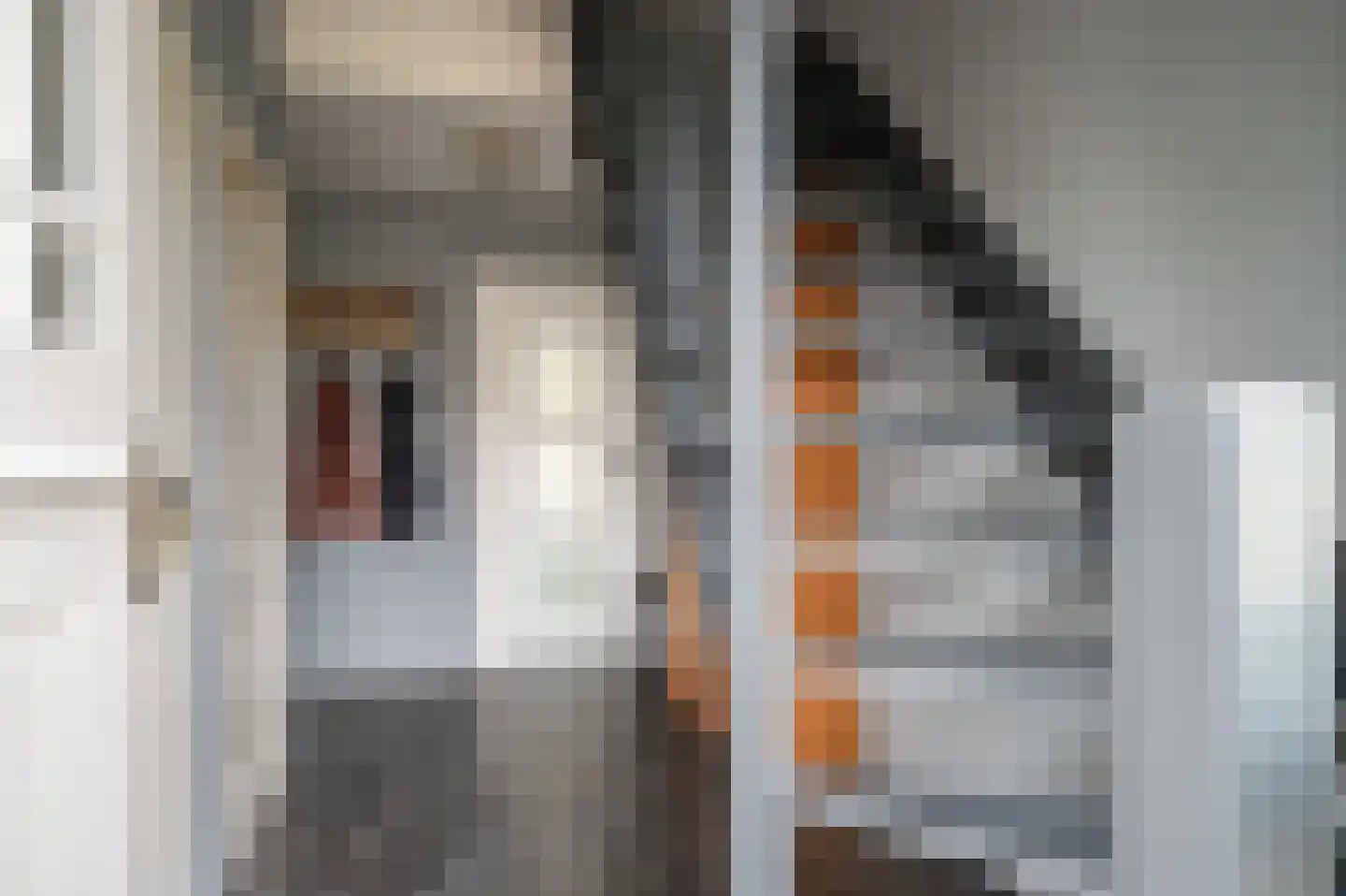 Expansie 43 Marknesse thumbnail 23