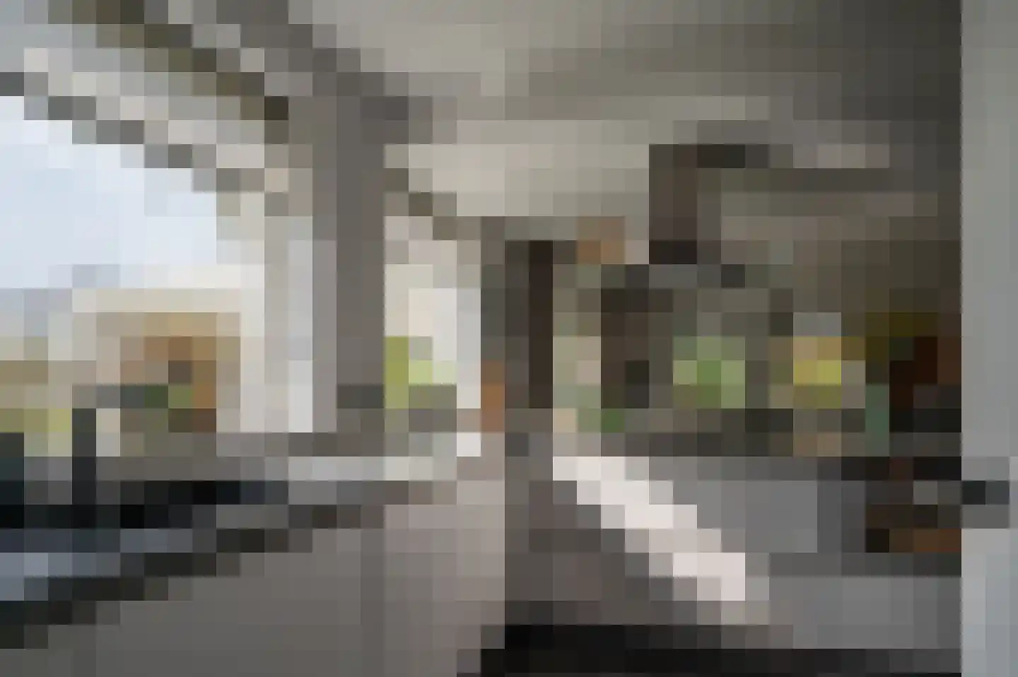 Expansie 43 Marknesse thumbnail 30