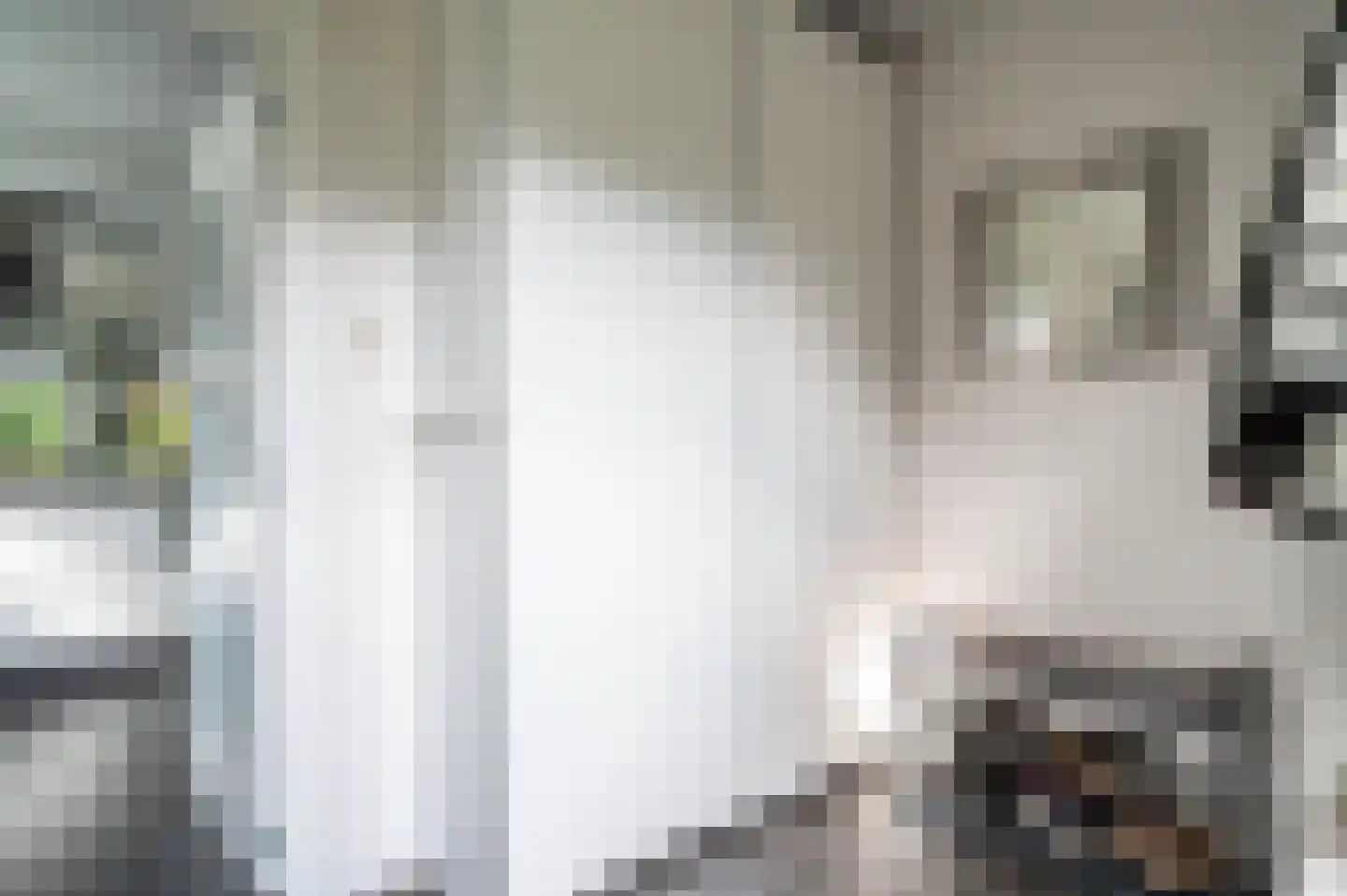 Expansie 43 Marknesse thumbnail 34