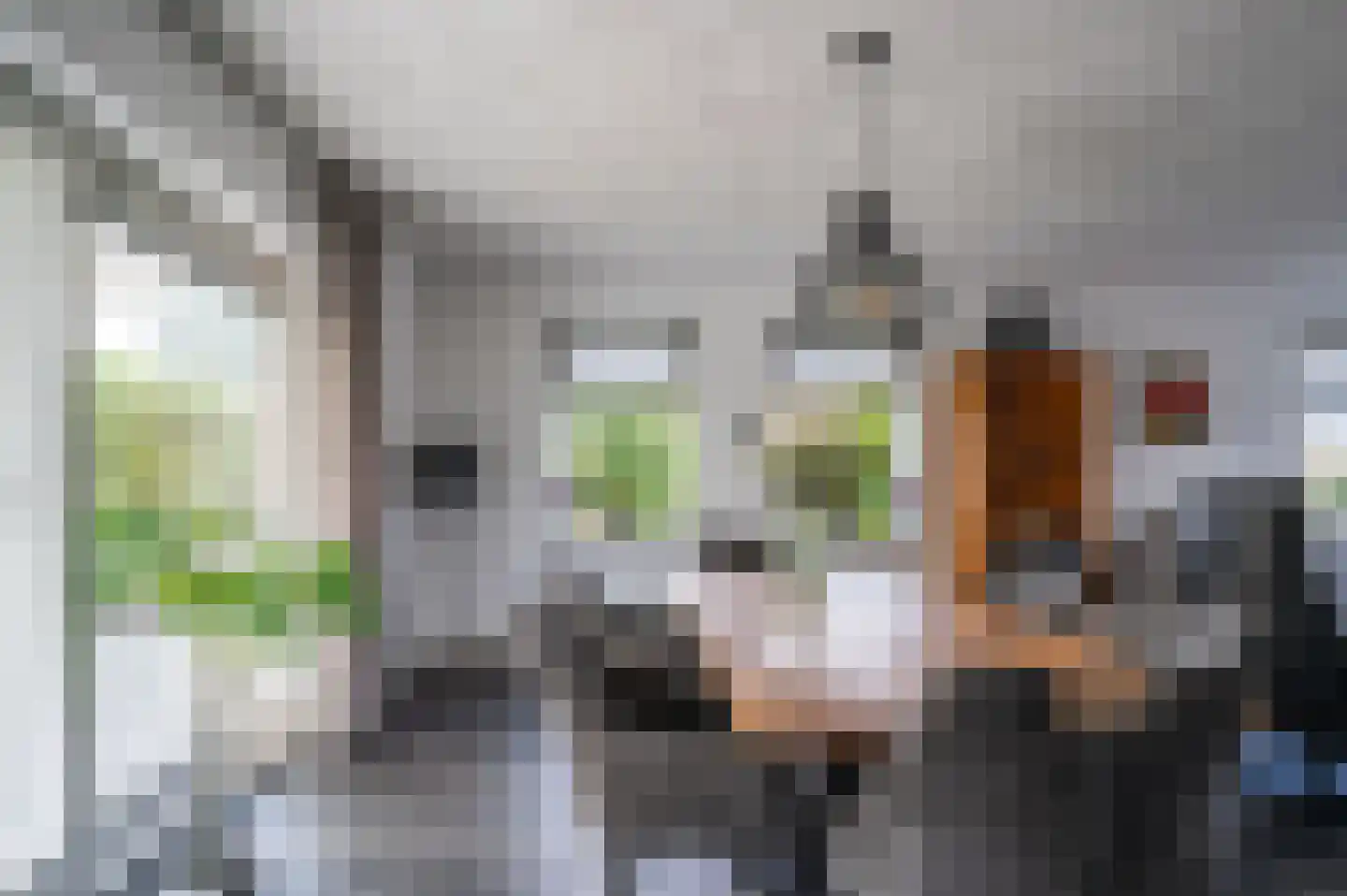 Expansie 43 Marknesse thumbnail 40