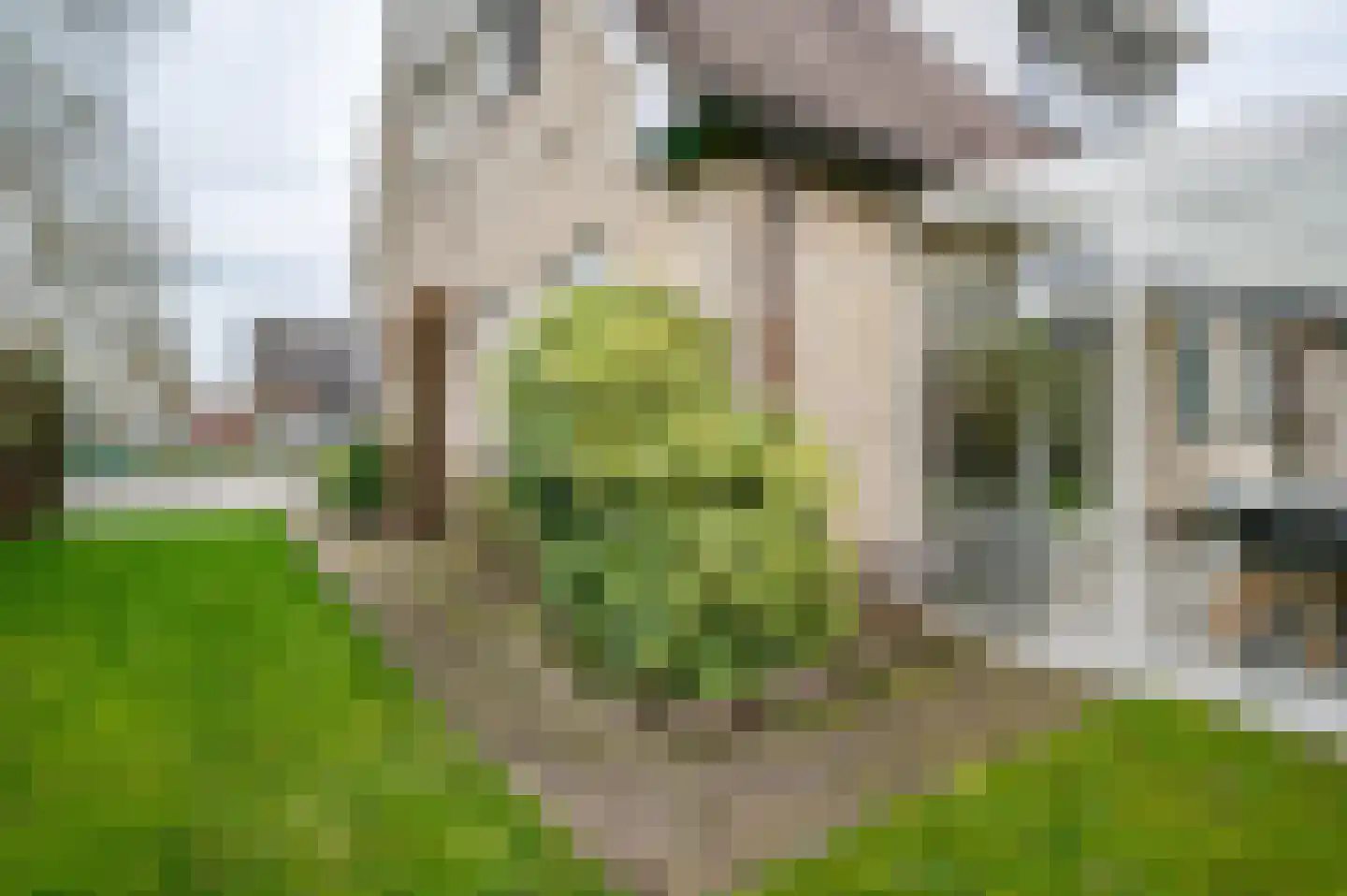 Expansie 43 Marknesse thumbnail 41