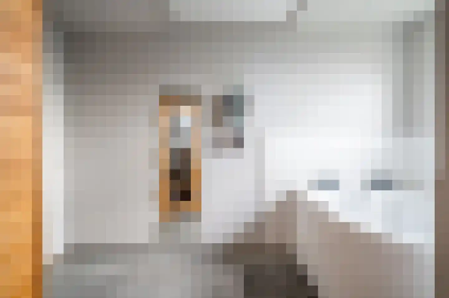 Expansie 43 Marknesse thumbnail 48