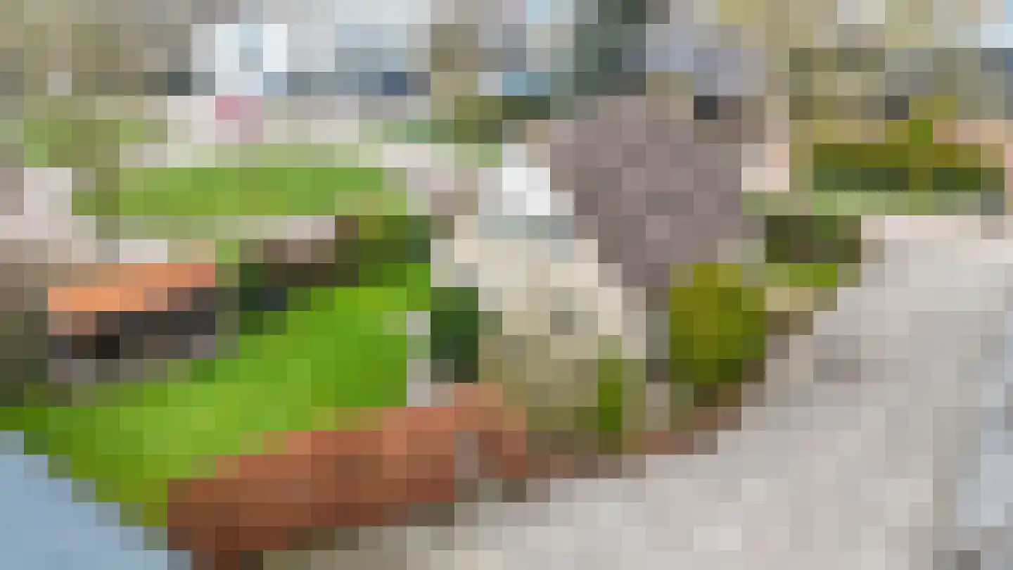 Expansie 43 Marknesse thumbnail 5
