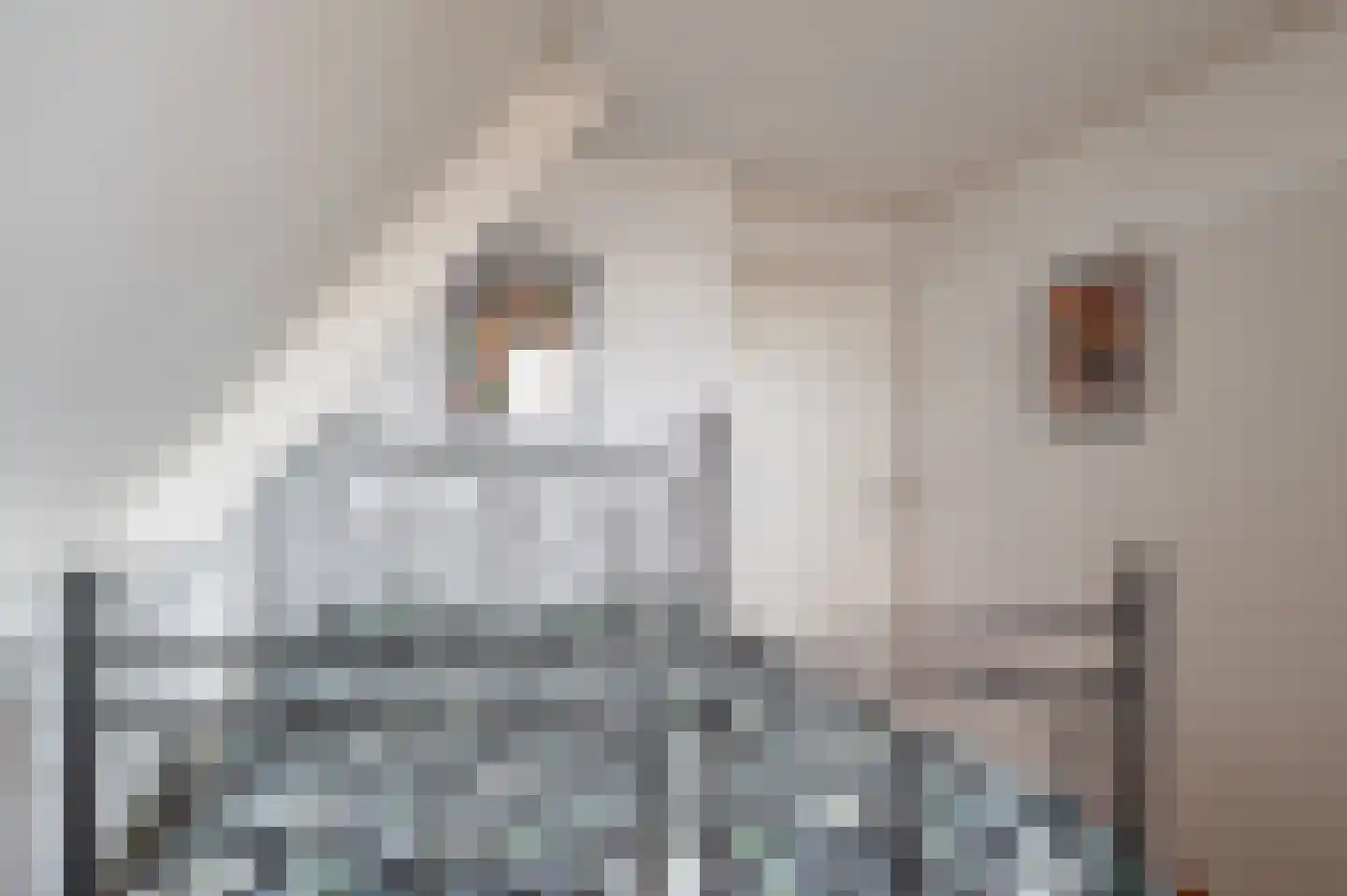 Expansie 43 Marknesse thumbnail 54