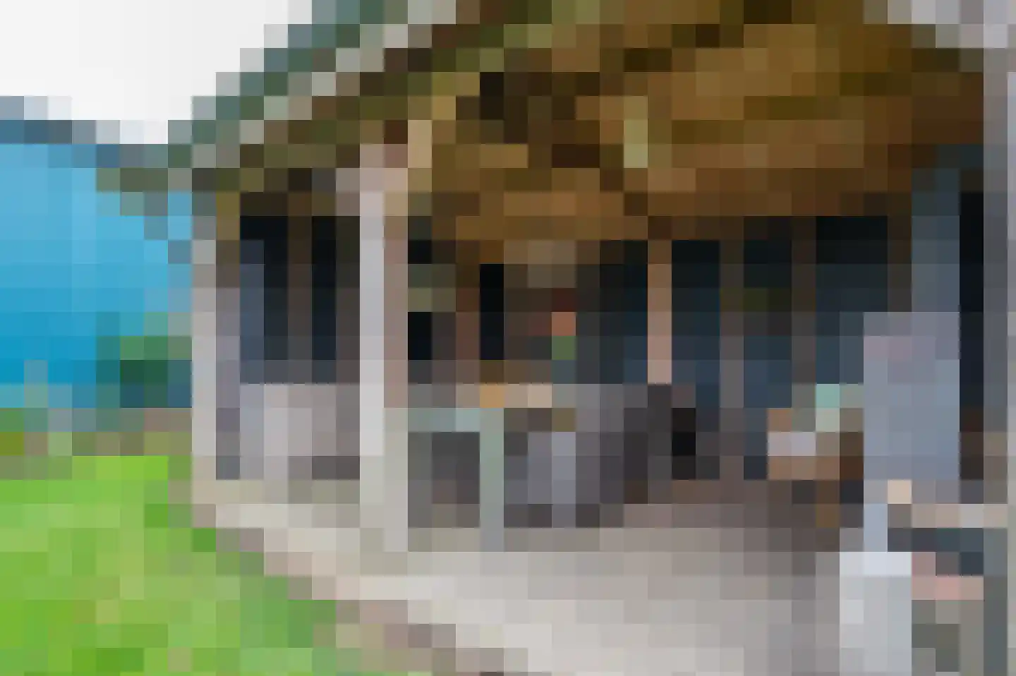 Expansie 43 Marknesse thumbnail 57