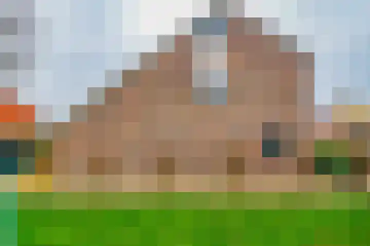 Expansielaan 16 Jubbega thumbnail 13
