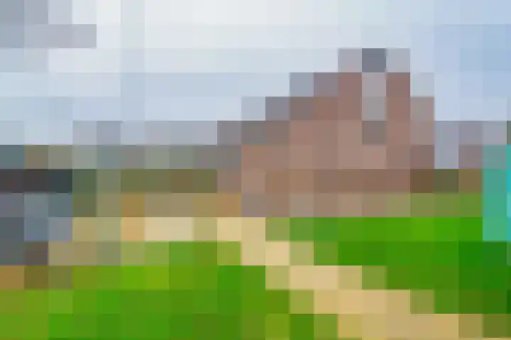 Expansielaan 16 Jubbega thumbnail 14