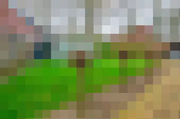 Expansielaan 16 Jubbega thumbnail 18