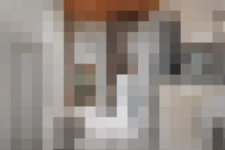 Expansielaan 16 Jubbega thumbnail 33