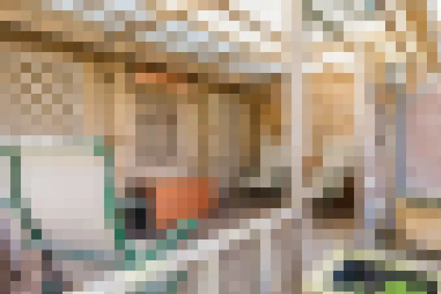 Expansielaan 34 Jubbega thumbnail 14