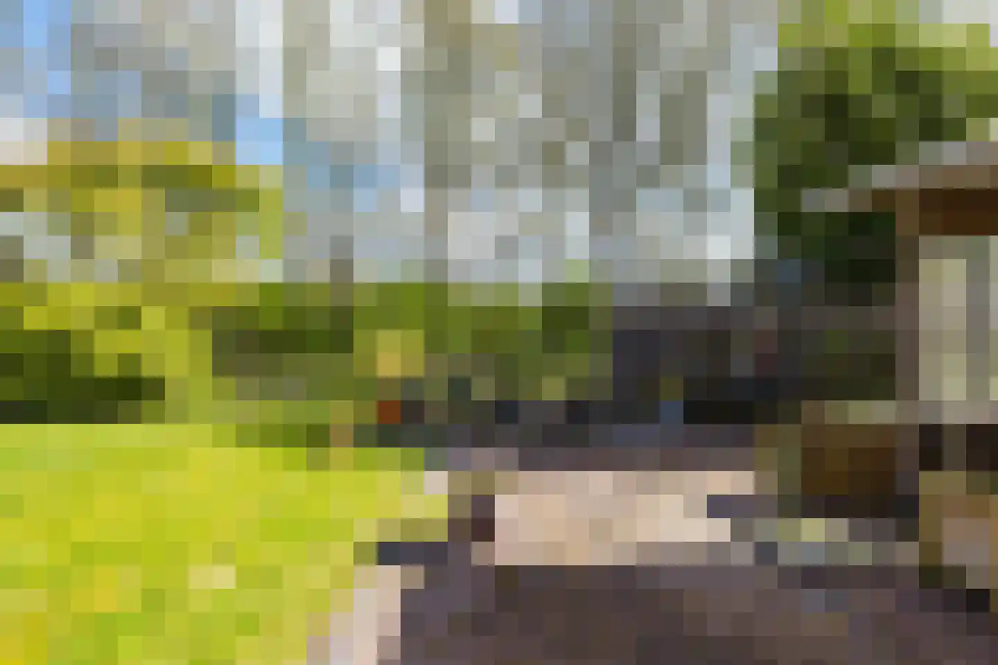 Expansielaan 34 Jubbega thumbnail 16