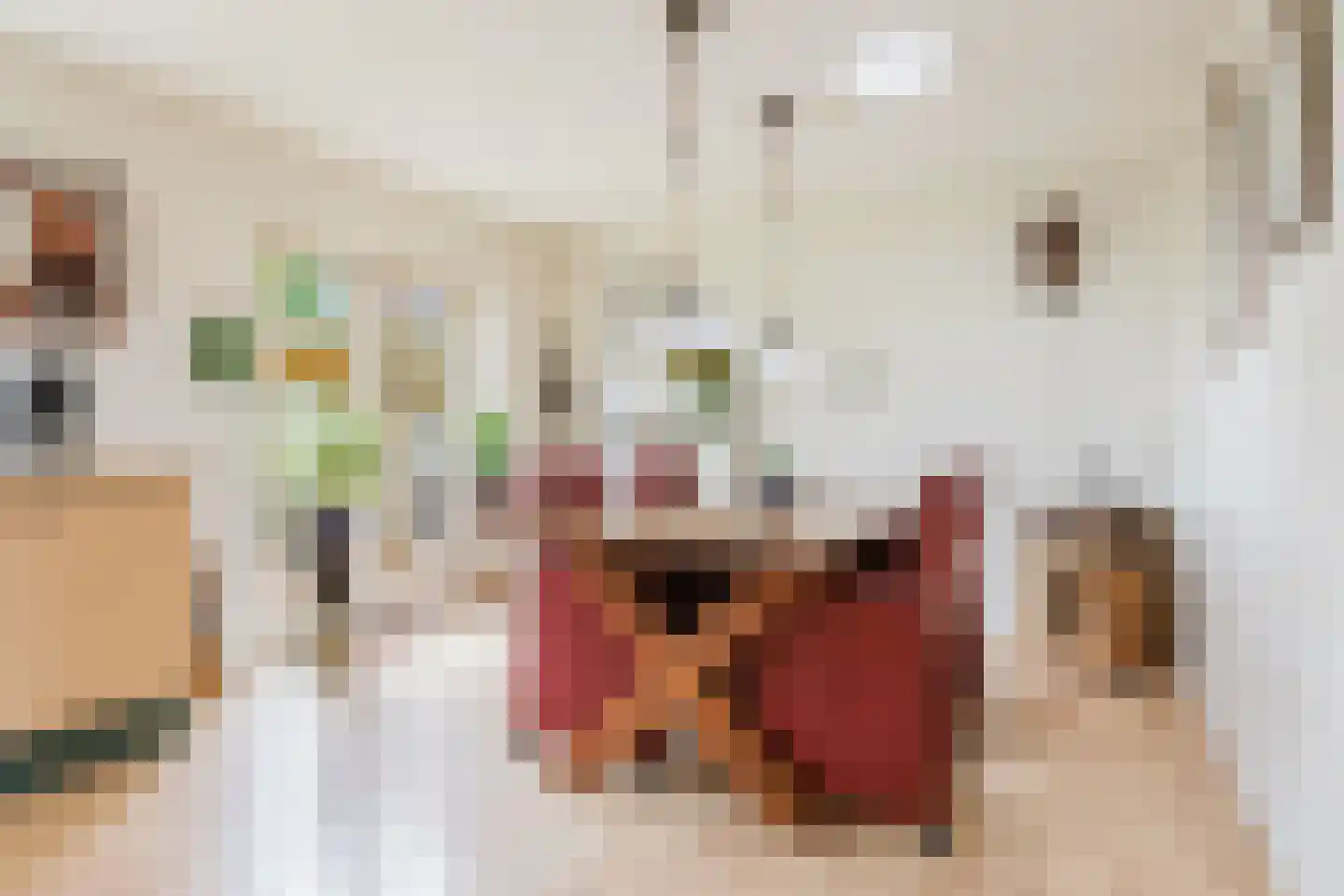 Expansielaan 34 Jubbega thumbnail 34