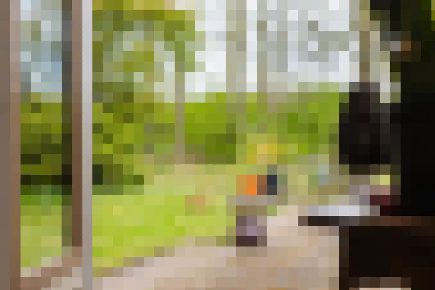 Expansielaan 34 Jubbega thumbnail 35