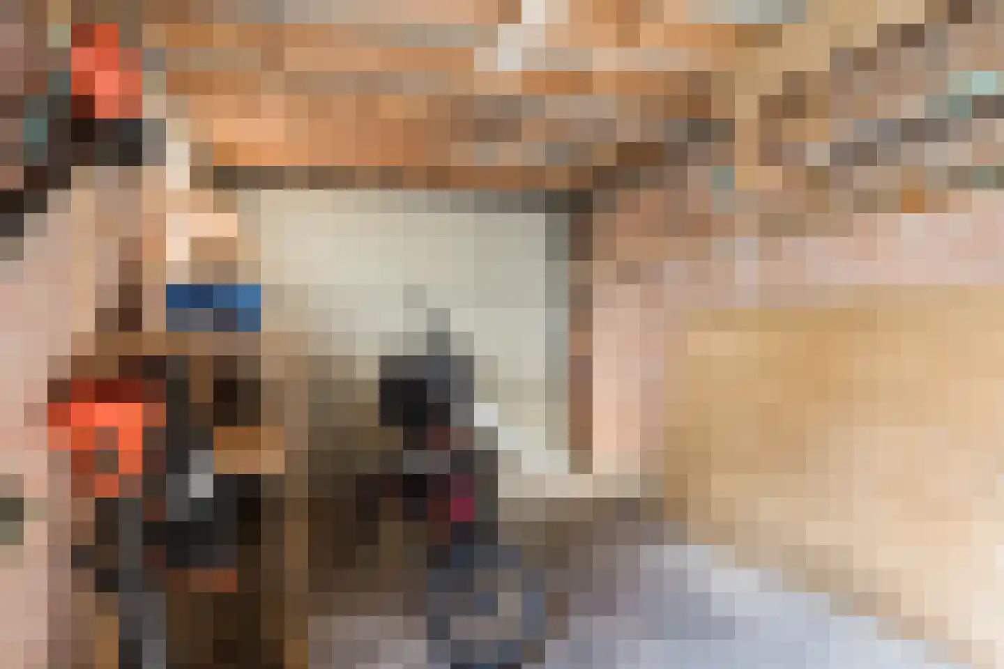 Expansielaan 34 Jubbega thumbnail 49