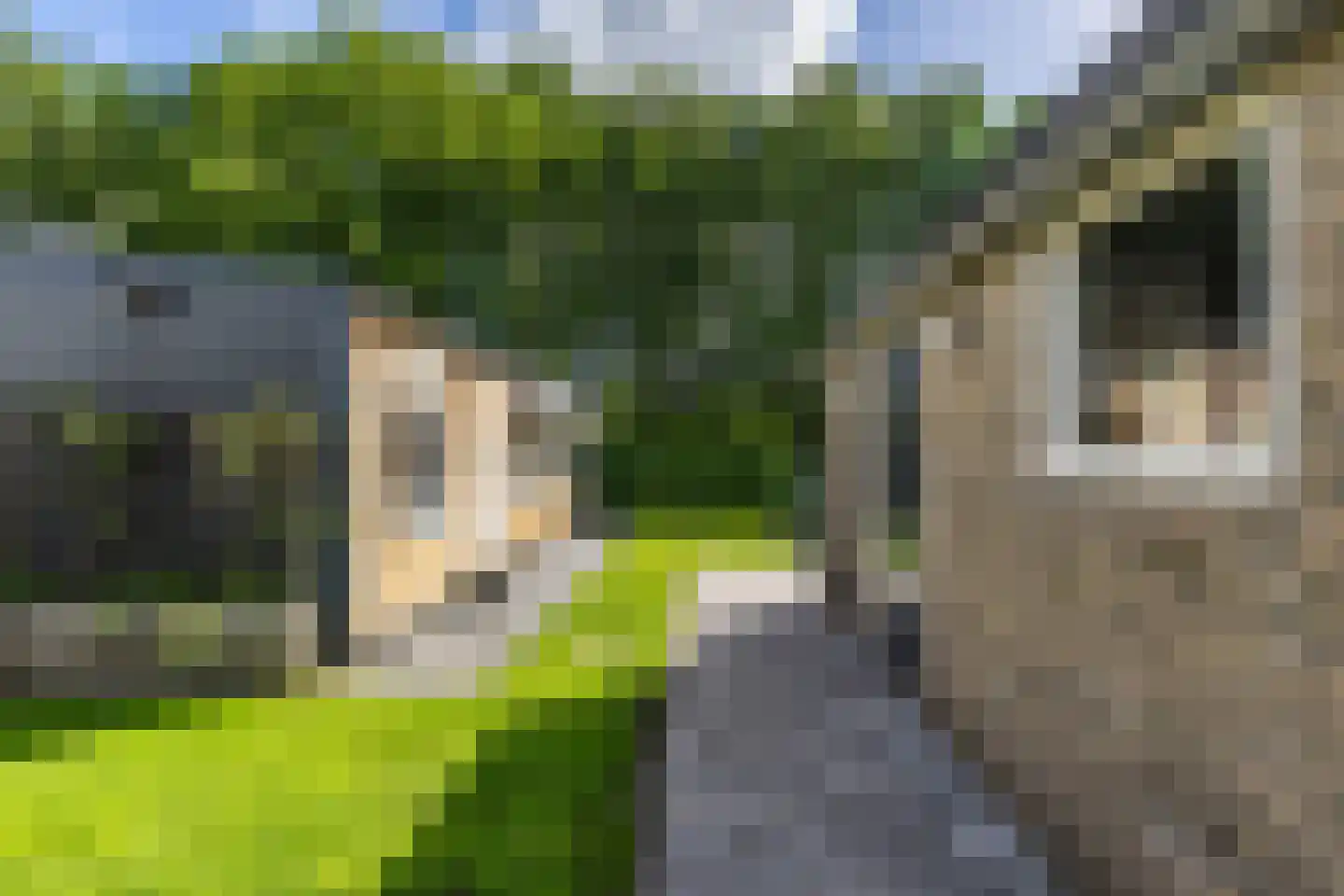 Expansielaan 44 Jubbega thumbnail 34