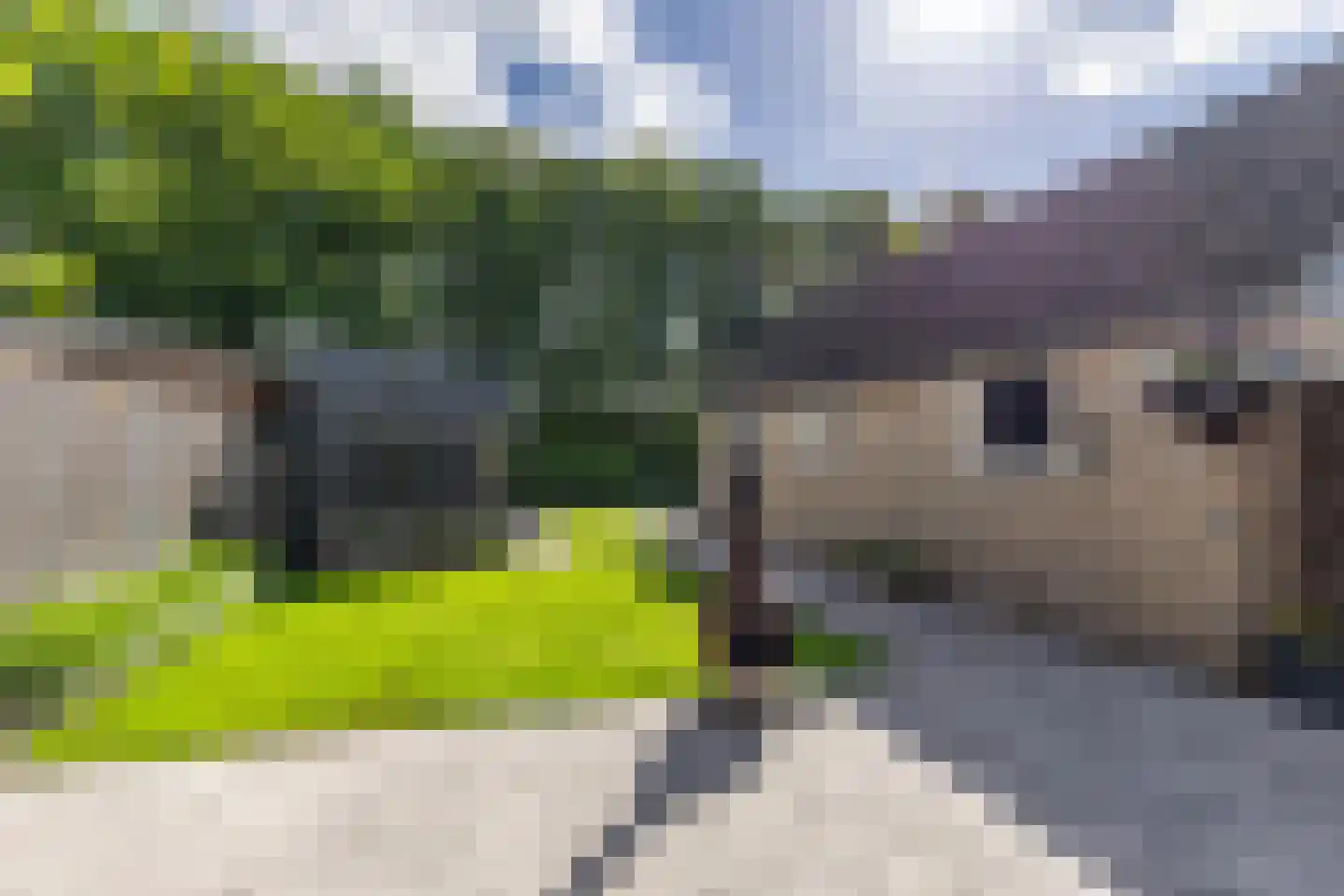 Expansielaan 44 Jubbega thumbnail 35