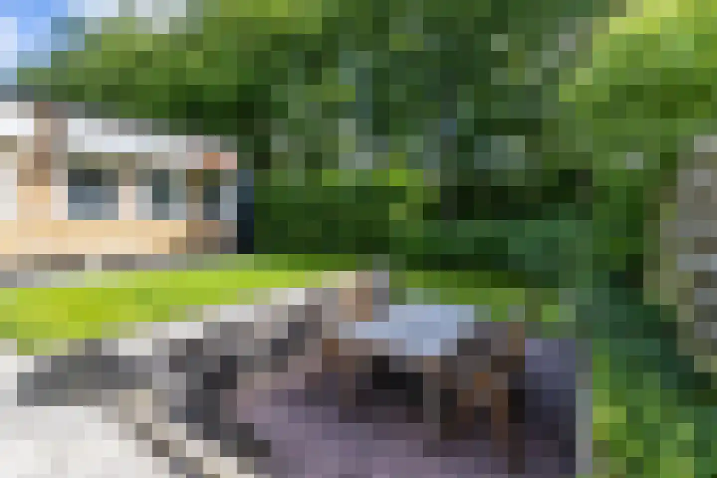 Expansielaan 44 Jubbega thumbnail 36