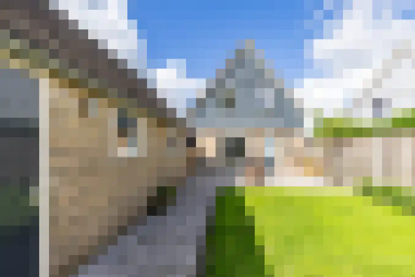 Expansielaan 44 Jubbega thumbnail 40