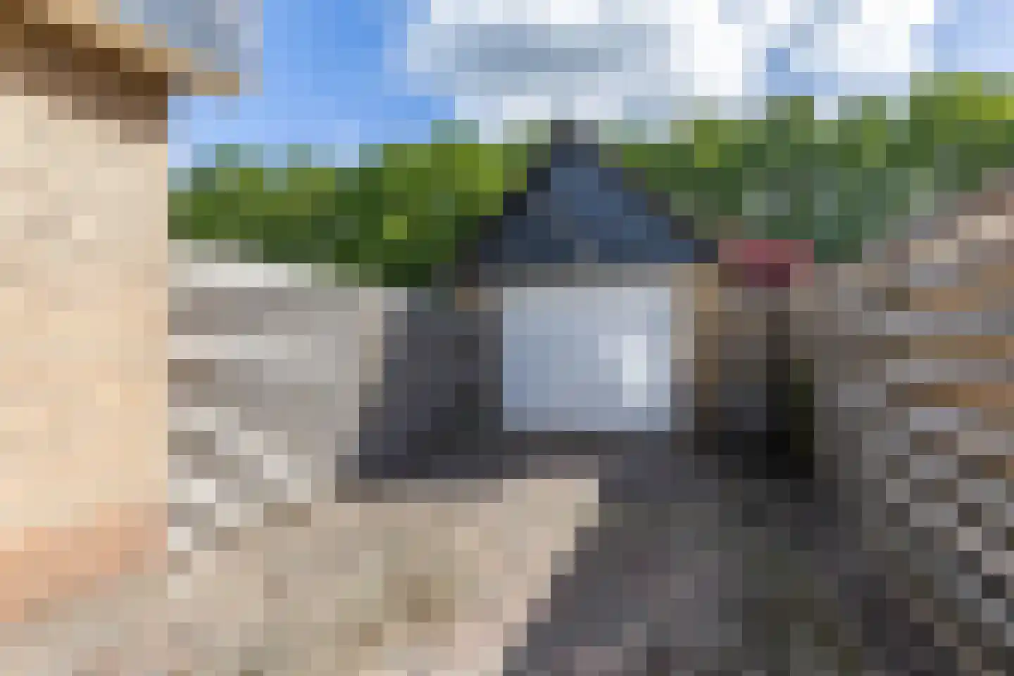 Expansielaan 44 Jubbega thumbnail 44
