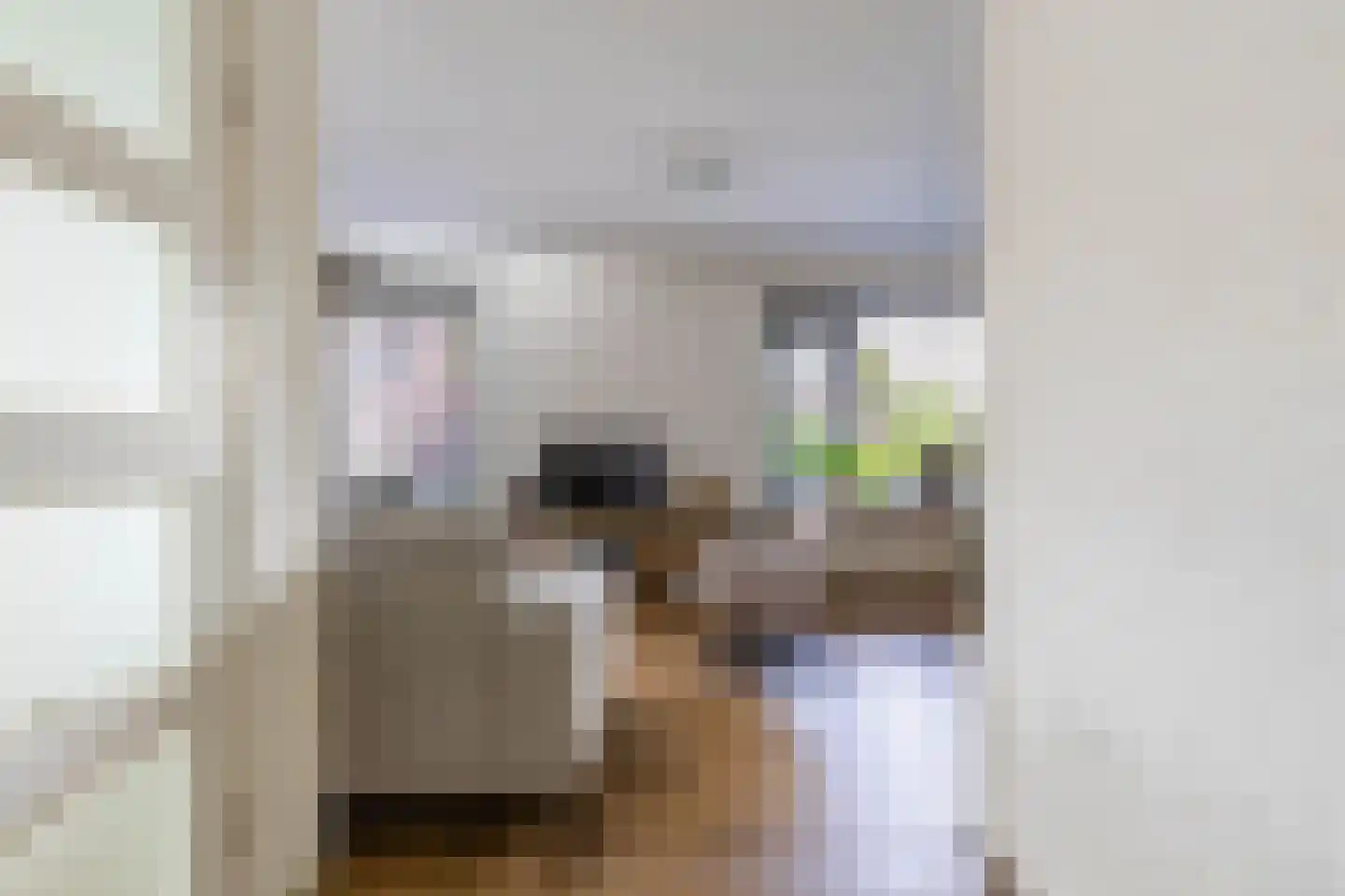 Expansielaan 44 Jubbega thumbnail 7