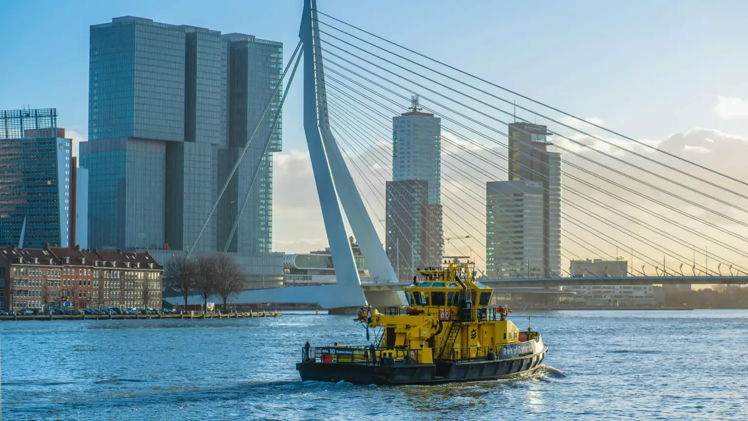 Team foto van Expat Housing Rotterdam