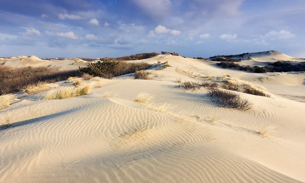 Team foto van Expat Residence