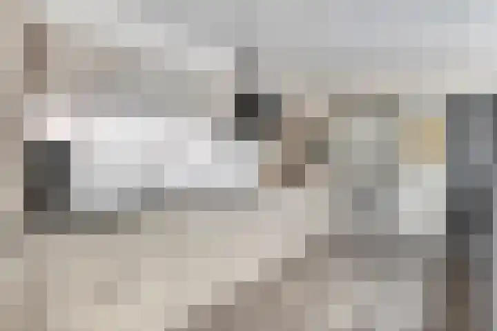 Logo of Expats Amsterdam Rentals