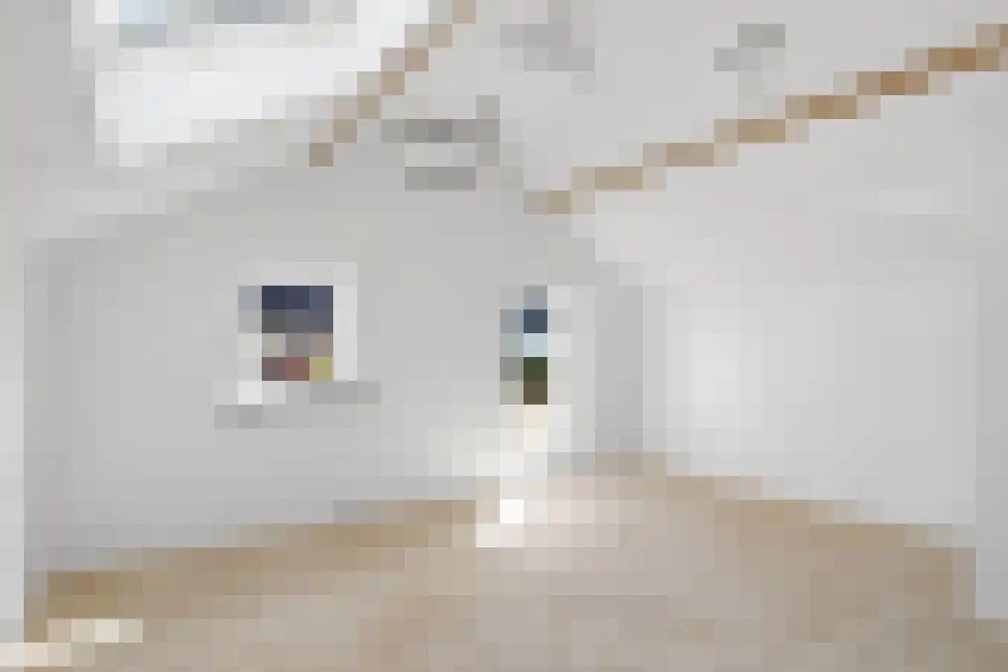 Exportstraat 22 Boxmeer thumbnail 18