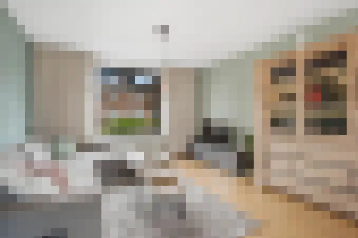 Exportstraat 5 Boxmeer thumbnail 4