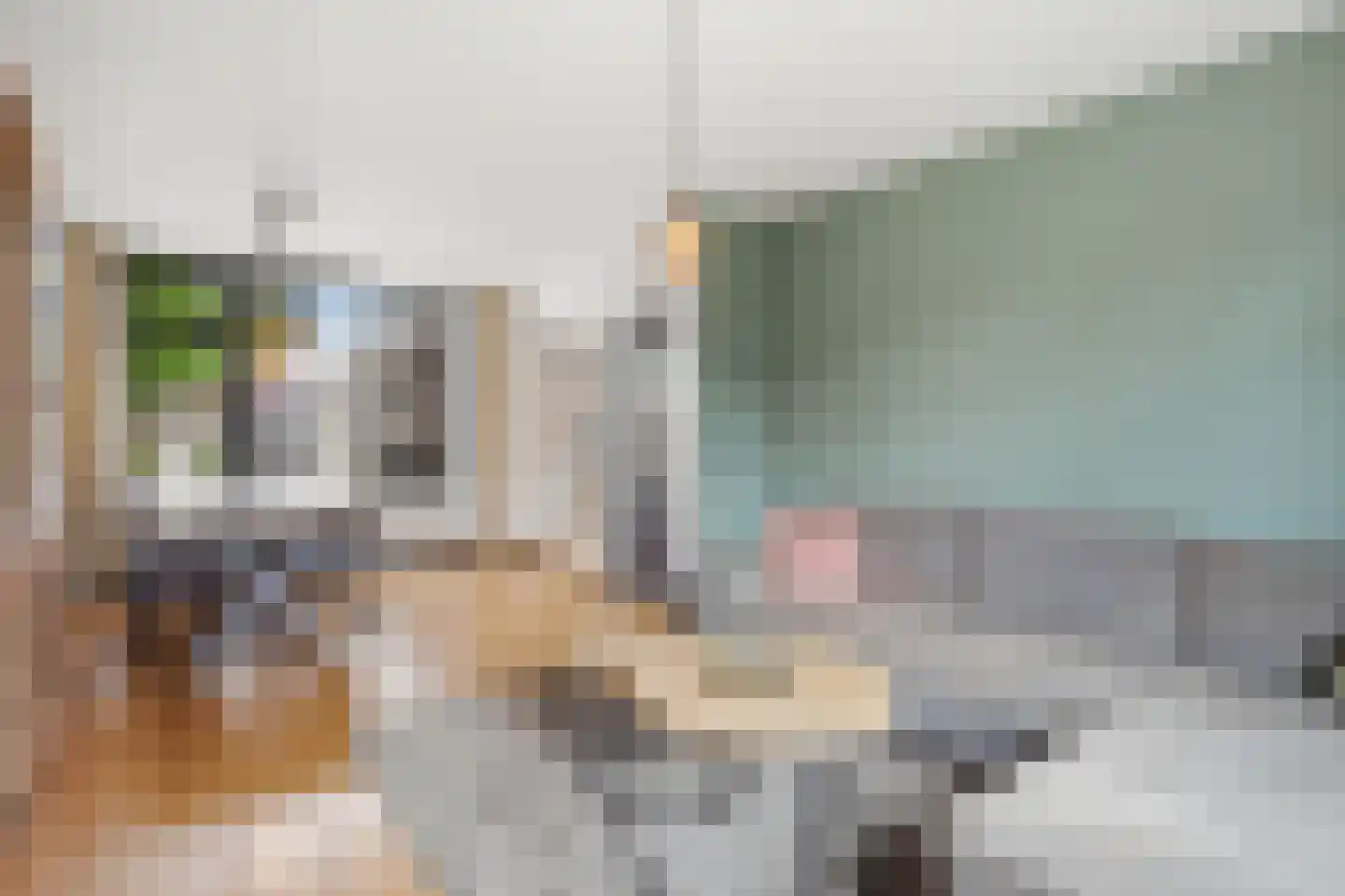 Exportstraat 5 Boxmeer thumbnail 6